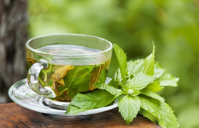 Peppermint Tea-A Healthy Beverage
